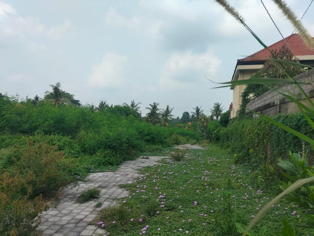 Properti terdaftar untuk dijual atau disewa - Tanah Komersial Shm Di Kawasan Bisnis Ubud